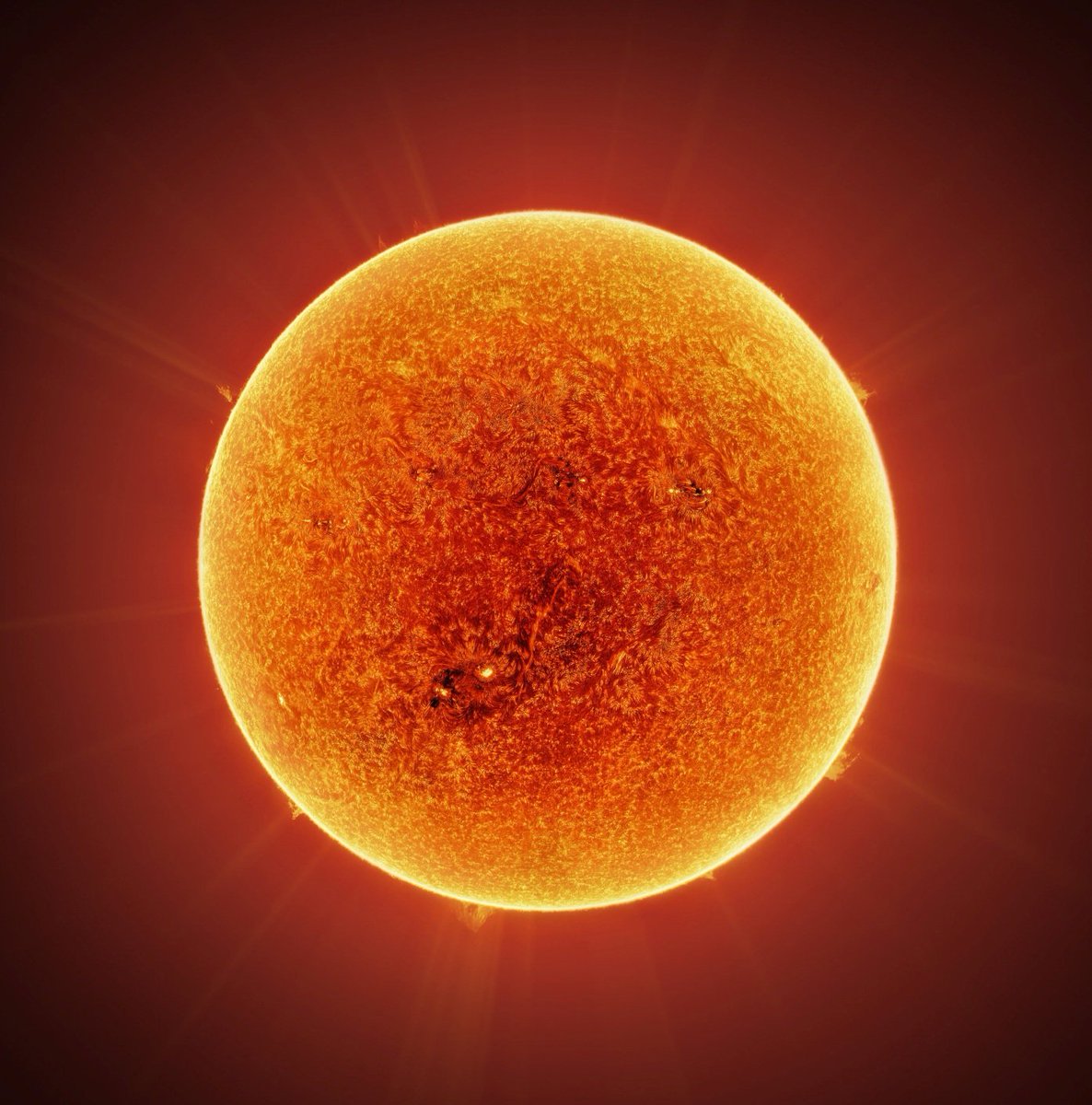 Andrew McCarthy tweet media