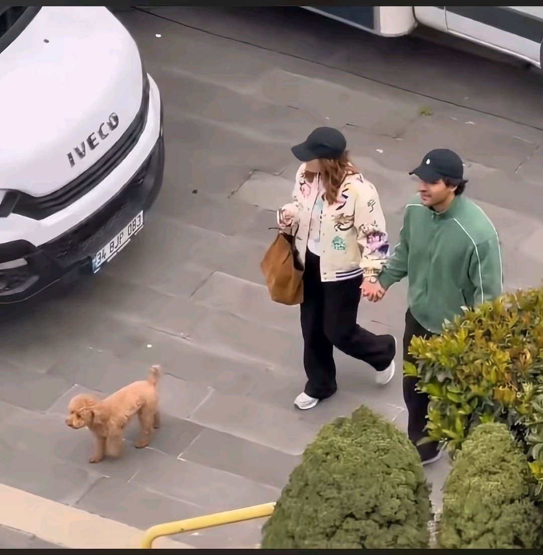 ai should stopp 😭