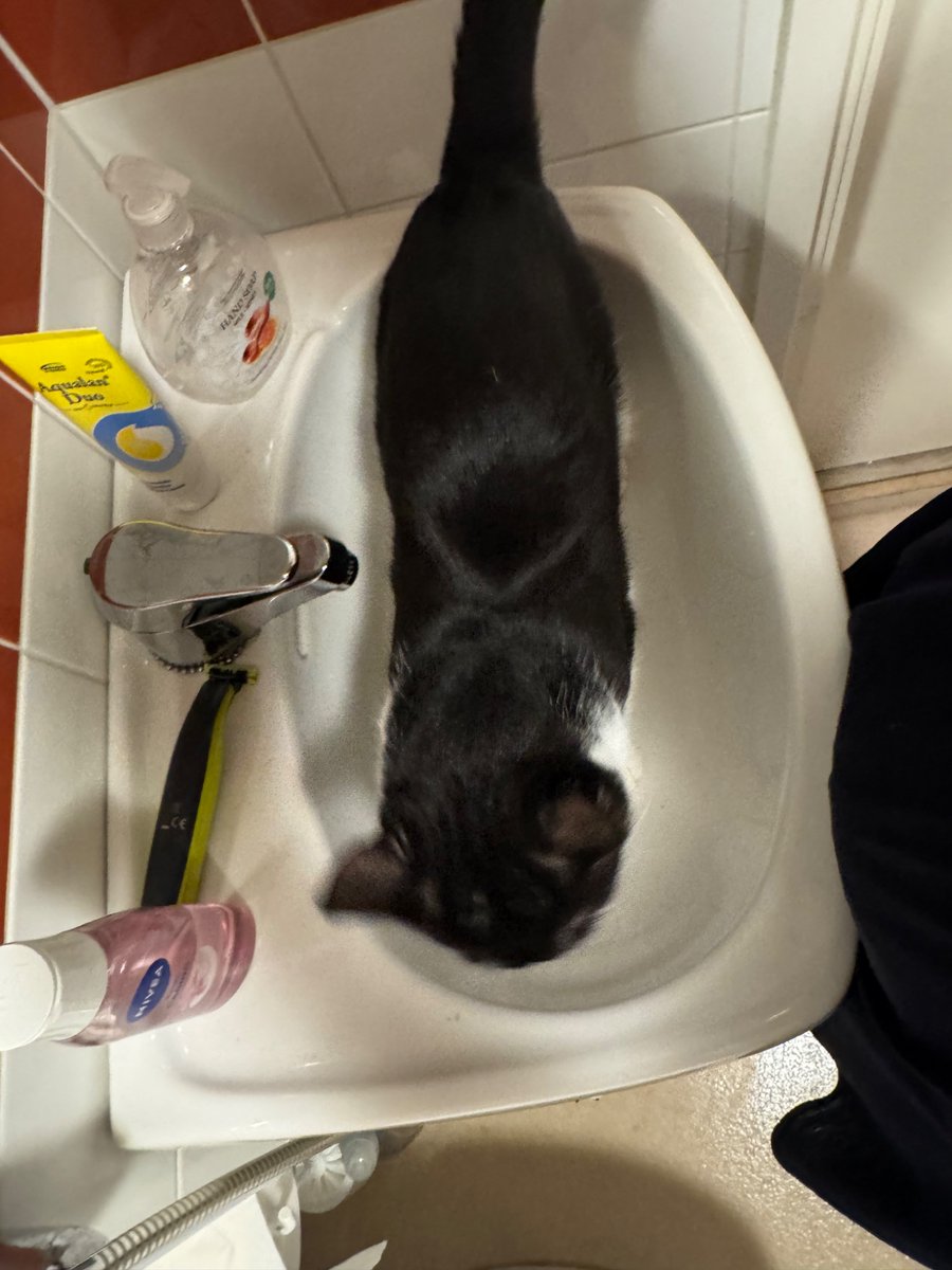 boy im tryna wash my hands