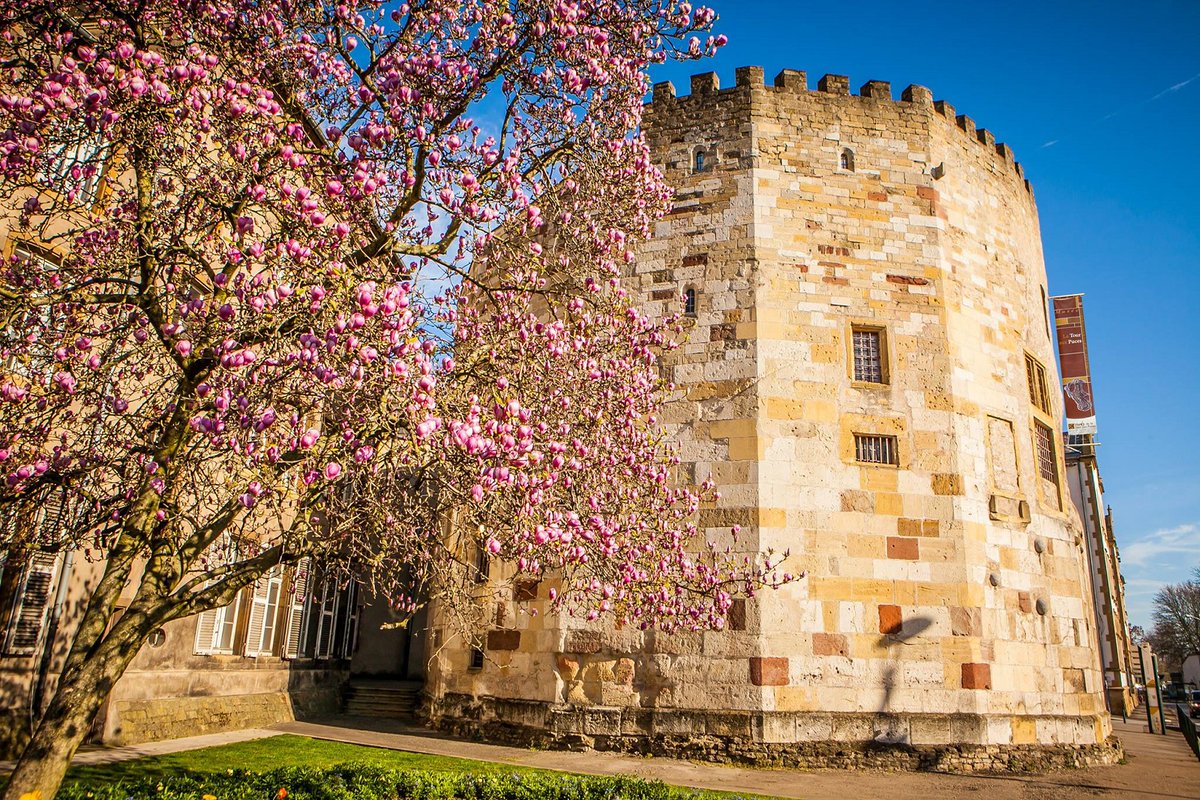 BLE Lorraine tweet media