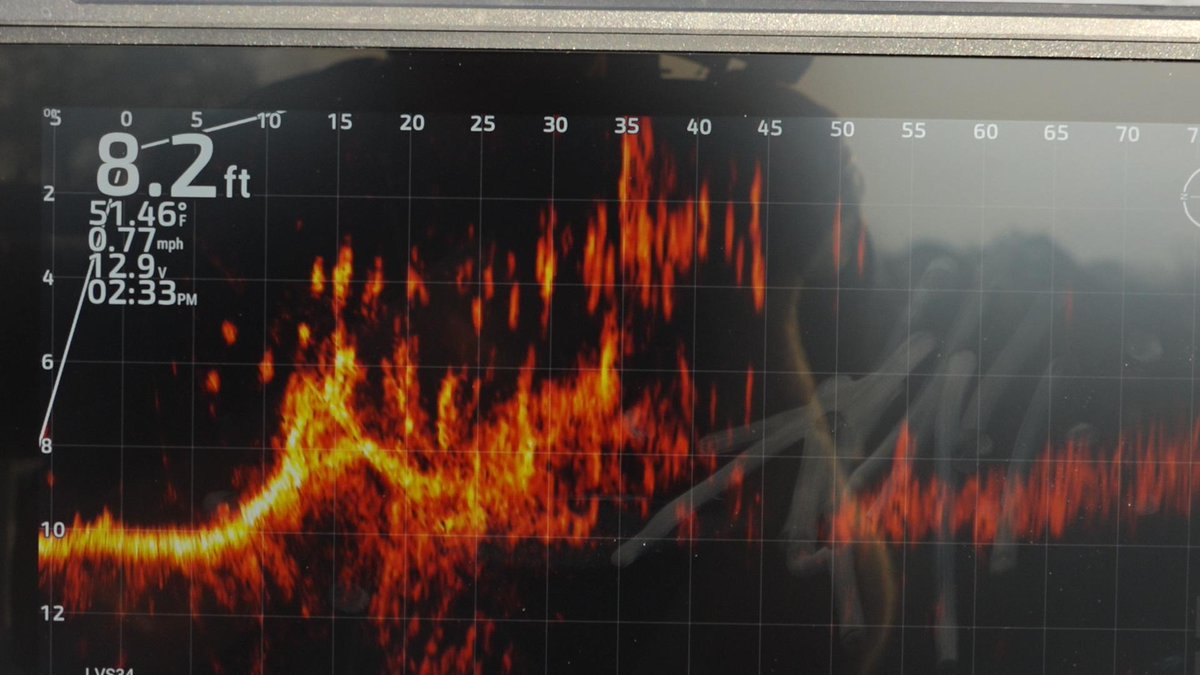 FishHandbook's tweet photo. That's what you like to see when casting to fish on #LiveScope.

#FishGarmin #GarminPro #GarminFishHunt https://t.co/9wzTD0Lgth