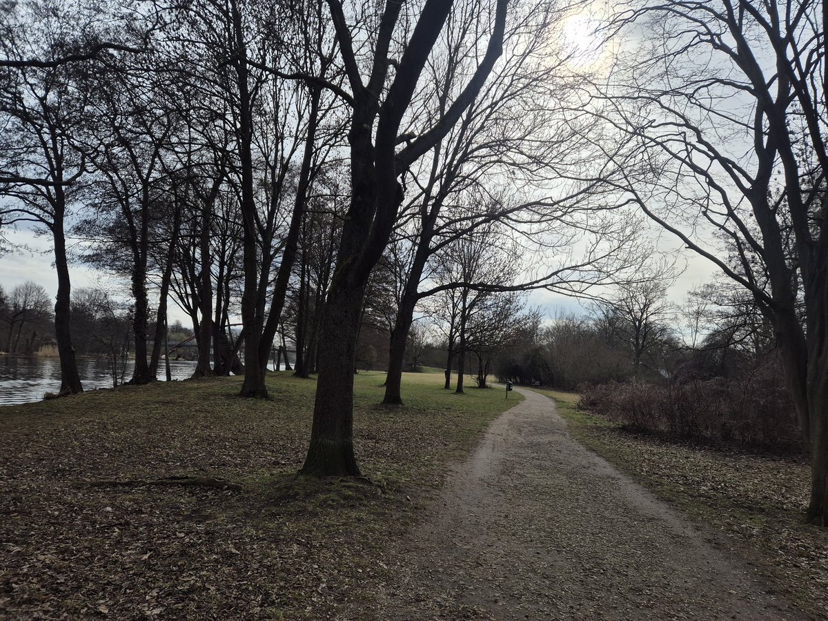 Mohammed Ragab tweet media