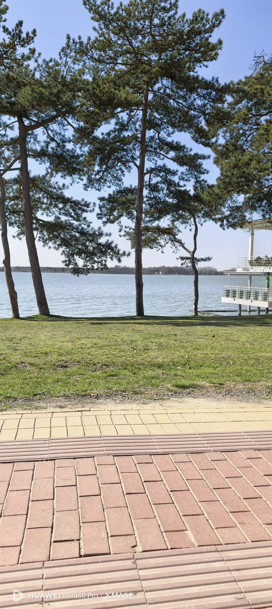 stranger2233445's tweet photo. Palic https://t.co/4i5FmmoAwt