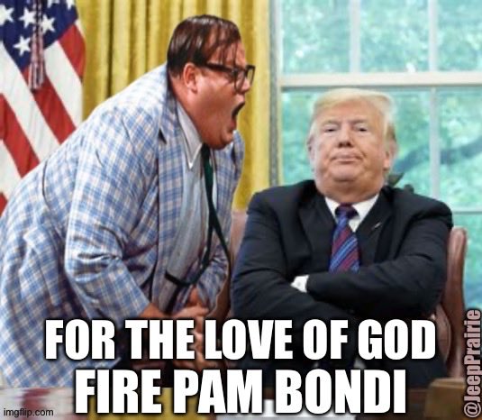 BPaul ™️🇺🇸🇺🇸 tweet media