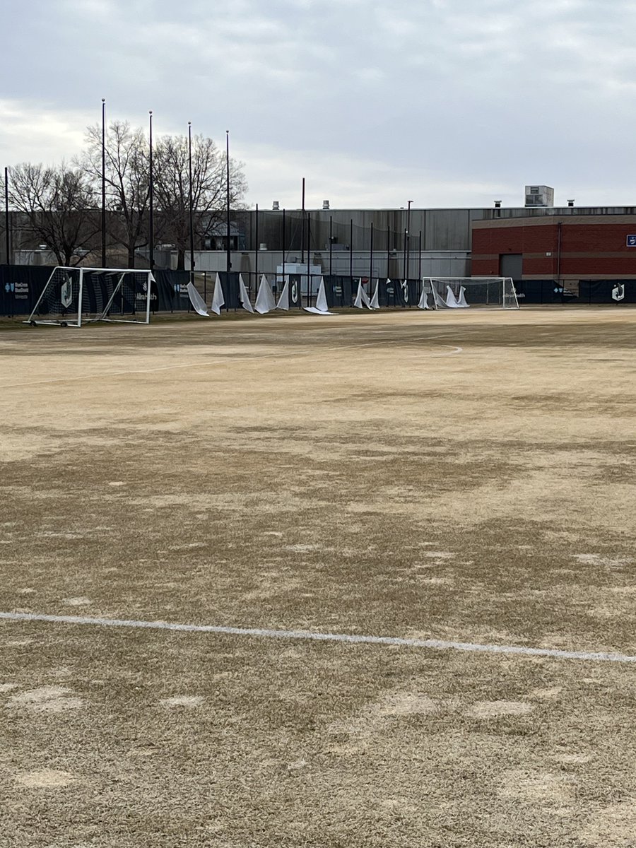 Peter Braun Jr. tweet media