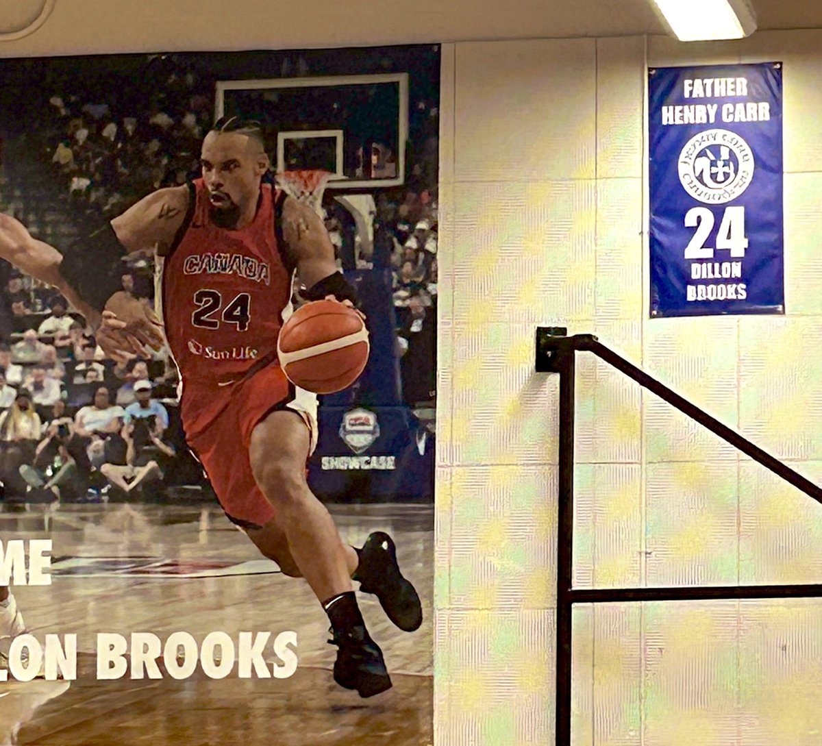 david letra tweet media