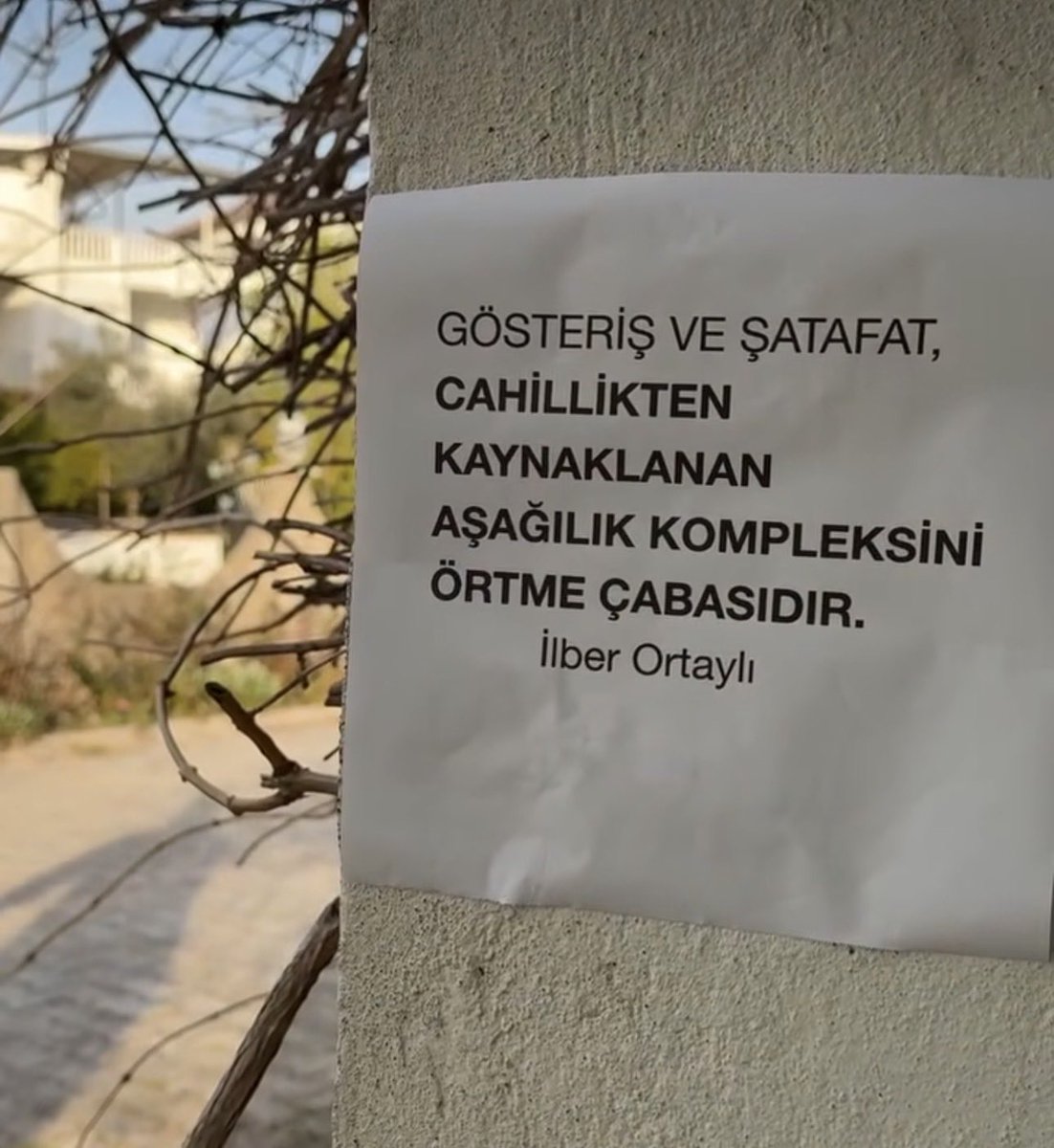 ejengin's tweet photo. https://t.co/xo1BzmRL3f
