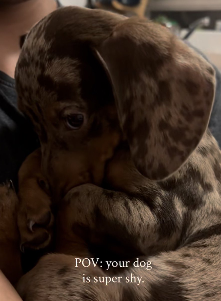 李昂吉bnb tweet media