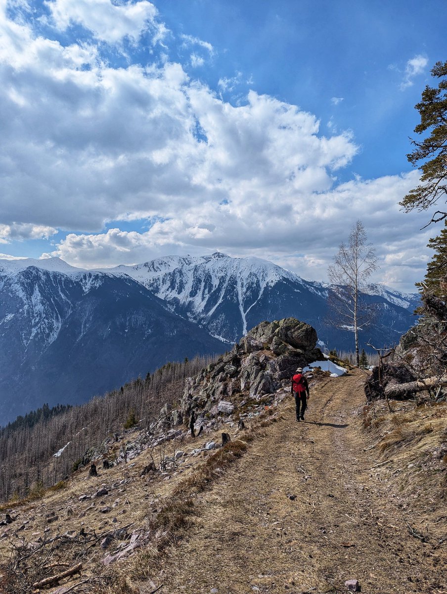 Demush Shasha tweet media