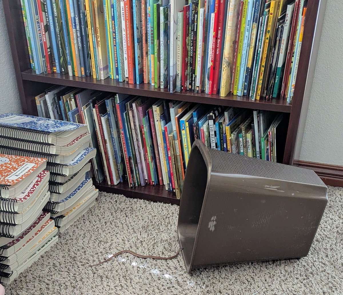 Hannah Ward 👩🏻‍🏫 Mom (x3) | Learning Designer tweet media