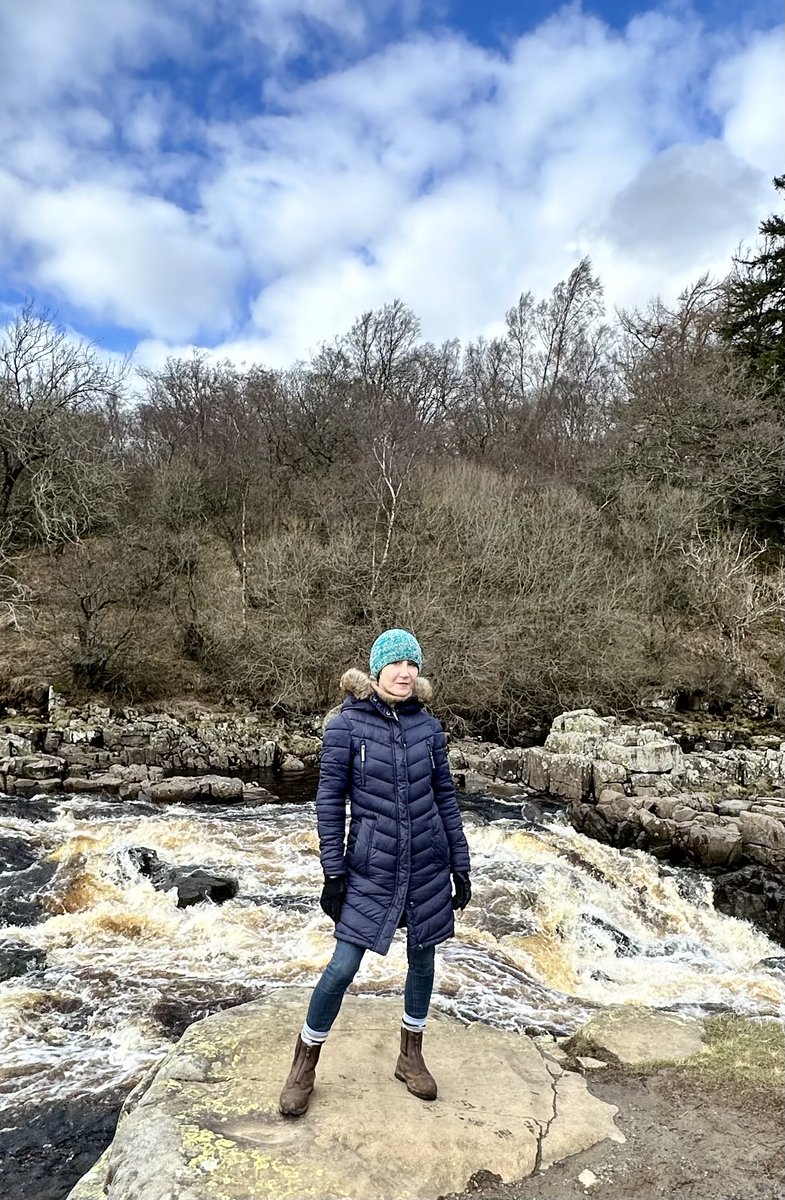 Domina Liza tweet media