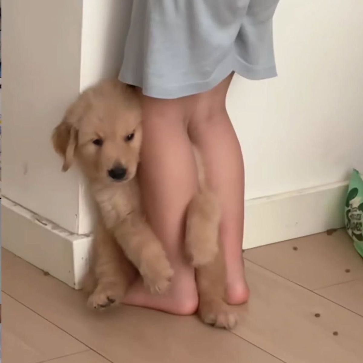 บู้ว 🐈‍⬛ ྀི tweet media