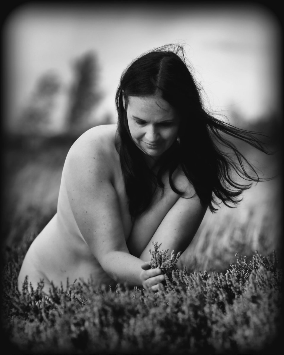 Fiddler Of Light tweet media