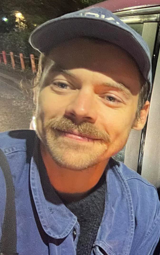 Harry’s Dimple Bot 🪩 tweet media