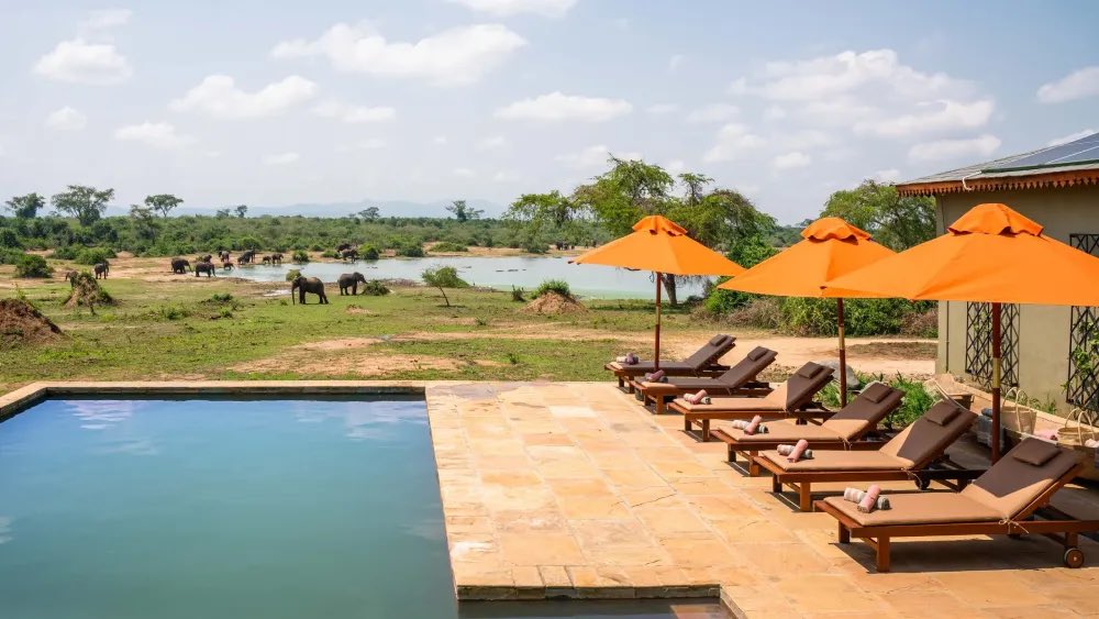 Gentle Giants Safaris - DMC tweet media