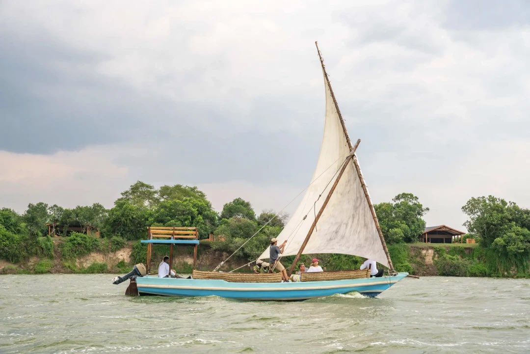 Gentle Giants Safaris - DMC tweet media