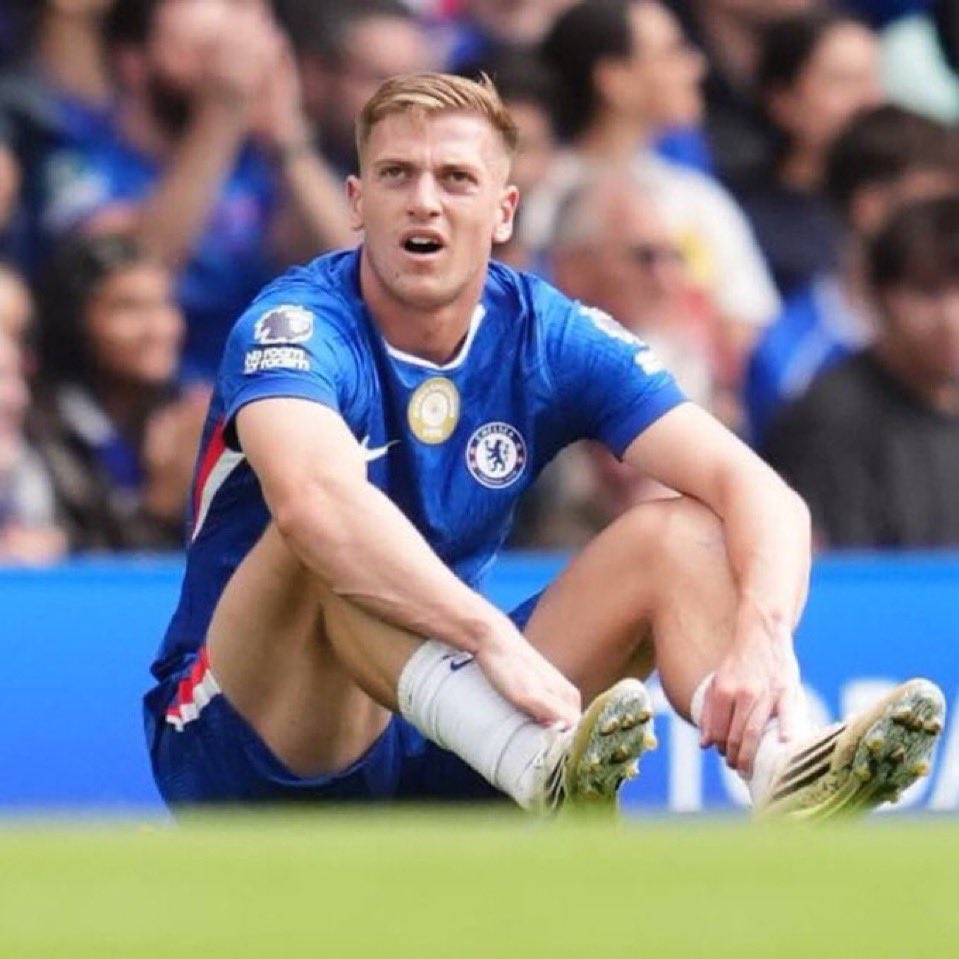 THE CHELSEA FORUM tweet media