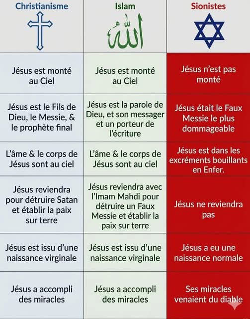 Claire Langoulant - Royaliste Légitimiste tweet media