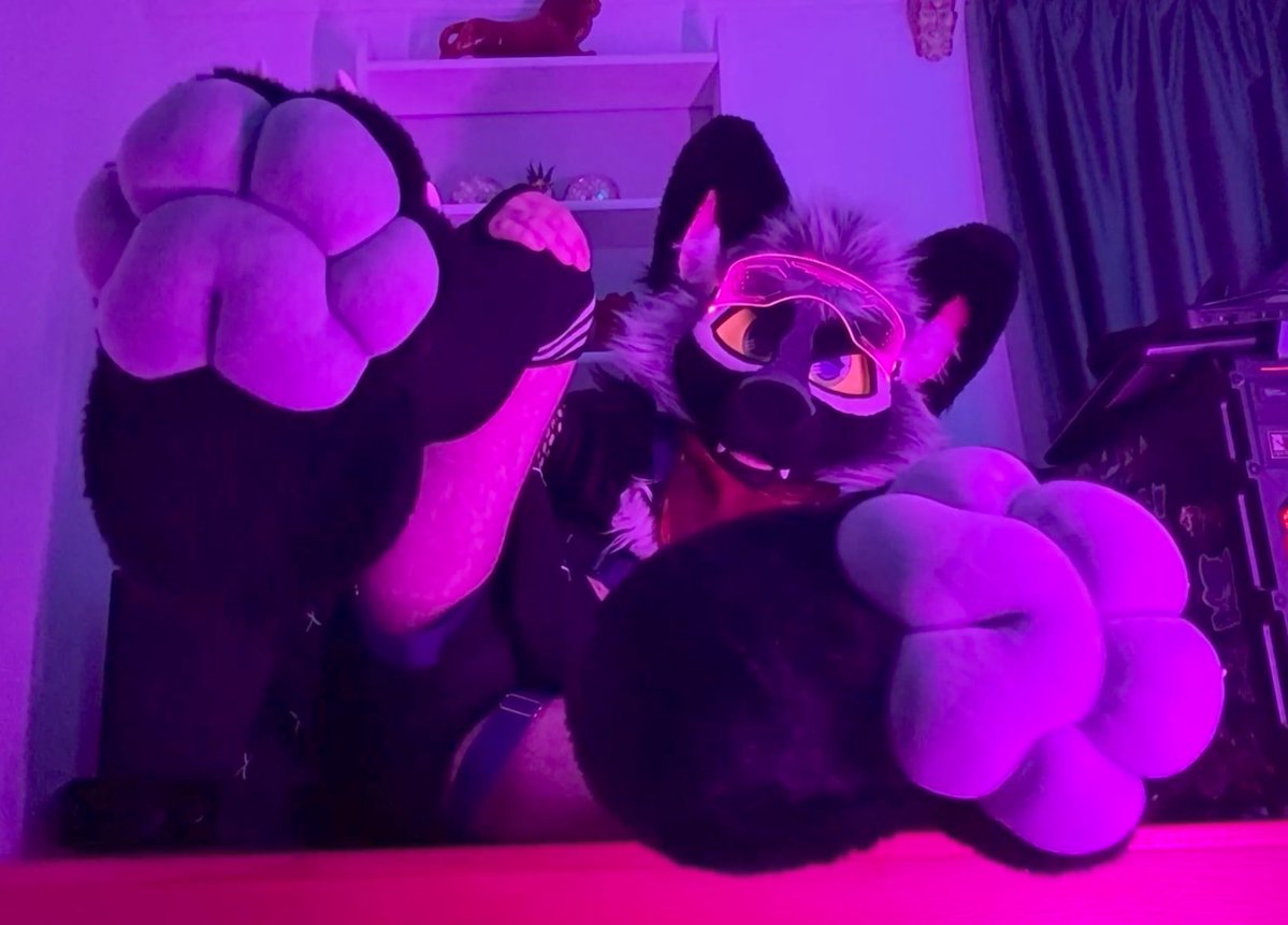 🌿Fern🌿 tweet media