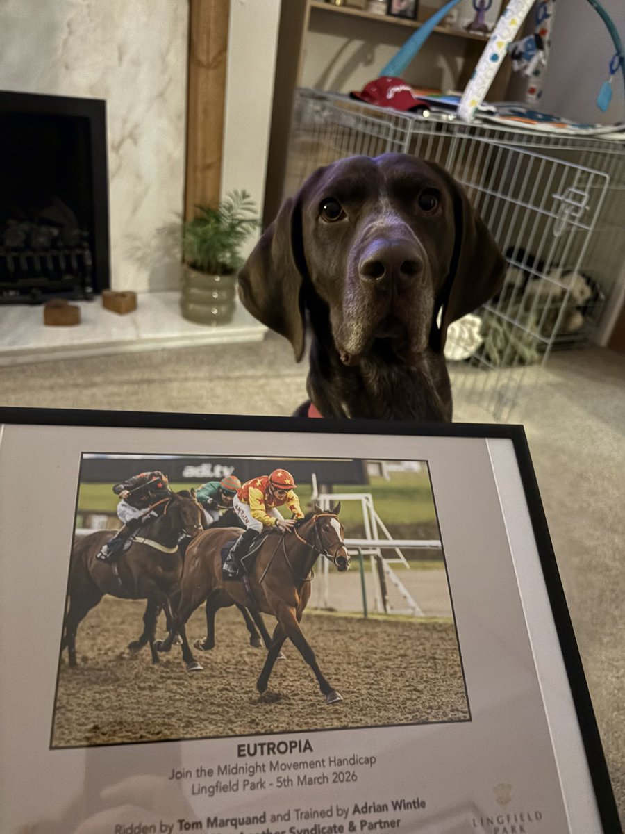 Not Another Syndicate ❤️💛 tweet media