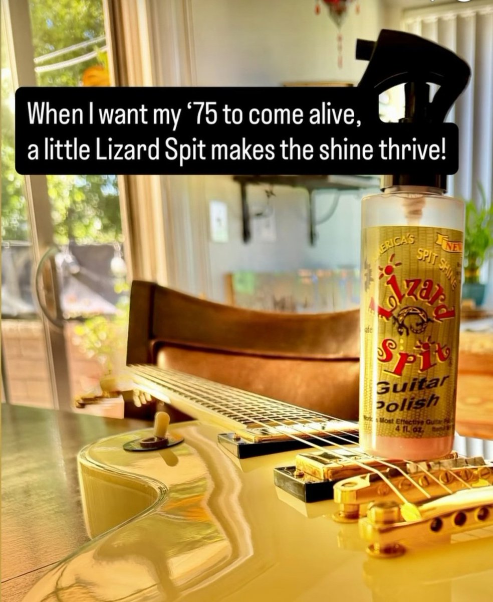 lizardspitpeeps's tweet photo. https://t.co/qd3k824orR