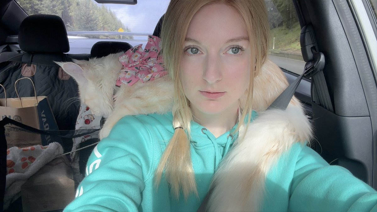 🐹OnlyHams🐹 & other pets tweet media