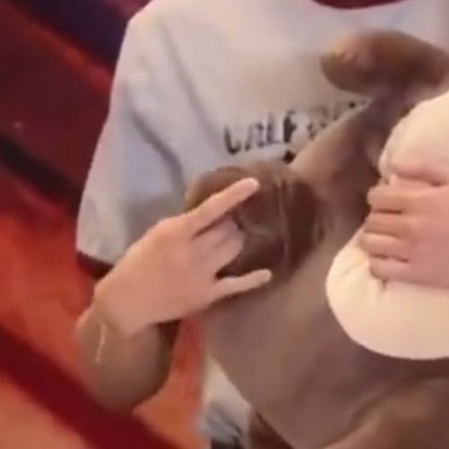 ‎ ‎ ‎ ‎ ‎ ‎ ‎ ‎𐔌 🦷♯ 𝘥꩜𝗹𝗹𝘪𝘴𝗵 .ᐟ.ᐟ | mh au📌 tweet media