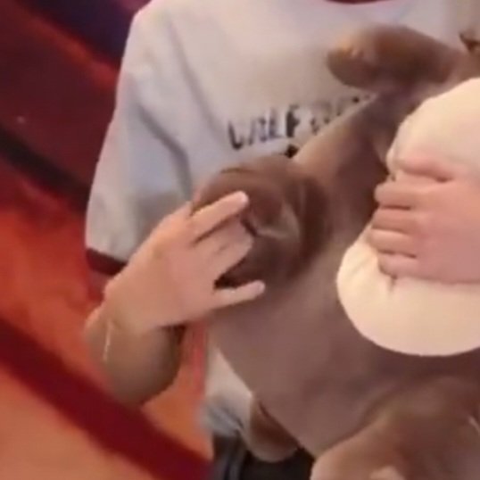 ‎ ‎ ‎ ‎ ‎ ‎ ‎ ‎𐔌 🦷♯ 𝘥꩜𝗹𝗹𝘪𝘴𝗵 .ᐟ.ᐟ | mh au📌 tweet media