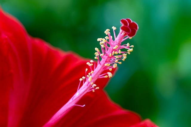 Renee Scott tweet media