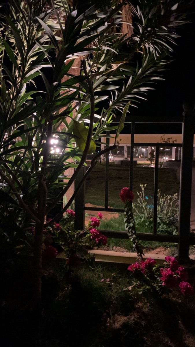 Lujain_Resort's tweet photo. المسا عندنا مع الأمطار .. سعادة
#منتجع_لجين_الريفي
#الرياض #شقراء #المجمعة #أشيقر https://t.co/sscrzHqQsA