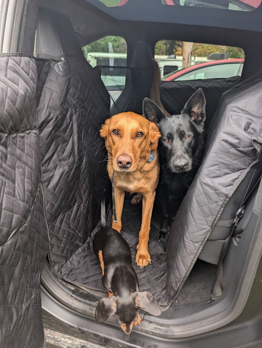 🔋Dave Mattson📐 tweet media