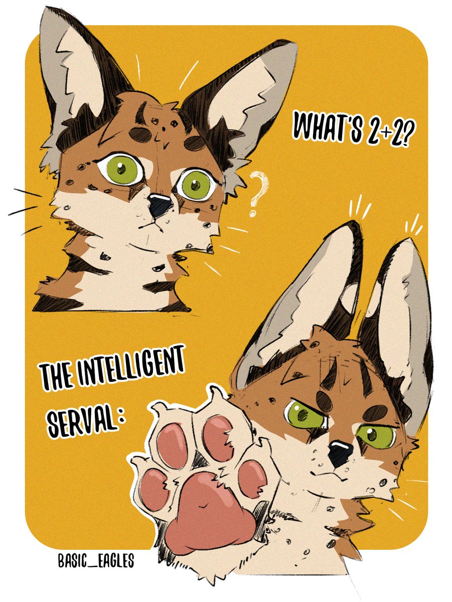 basic eagles tweet media