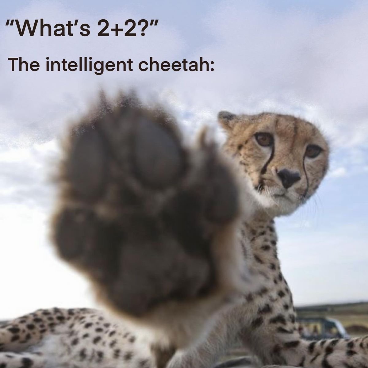 basic eagles tweet media