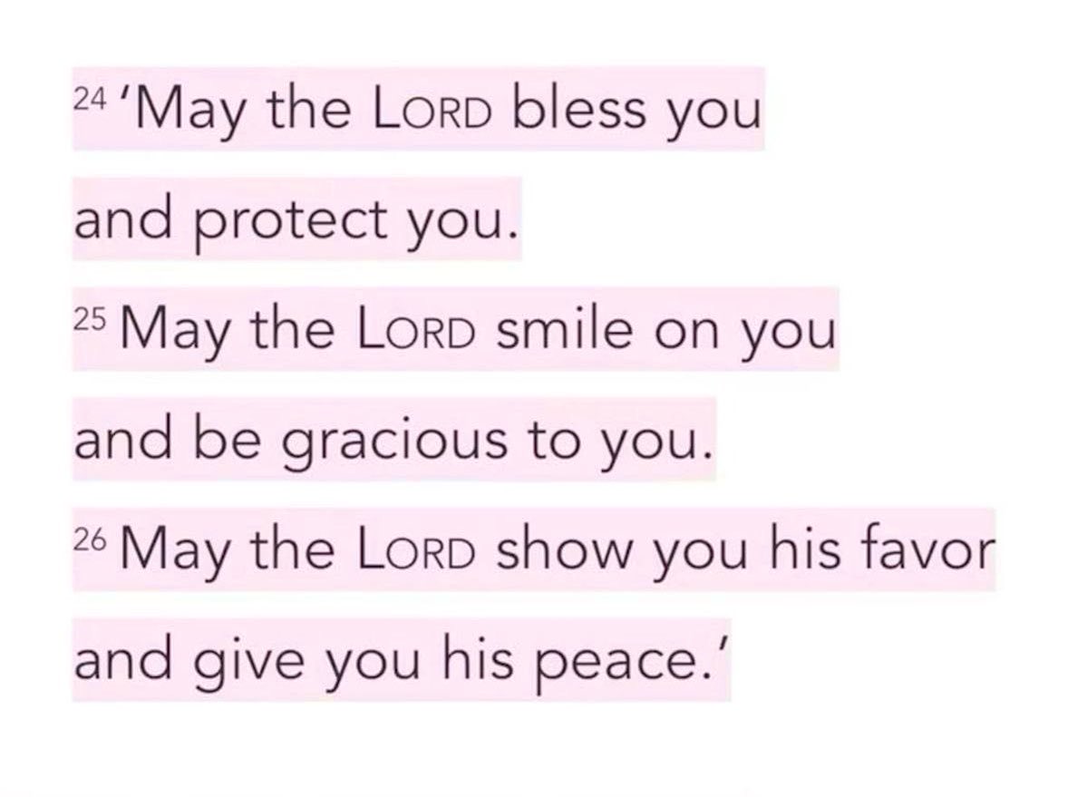 Holy Bible tweet media