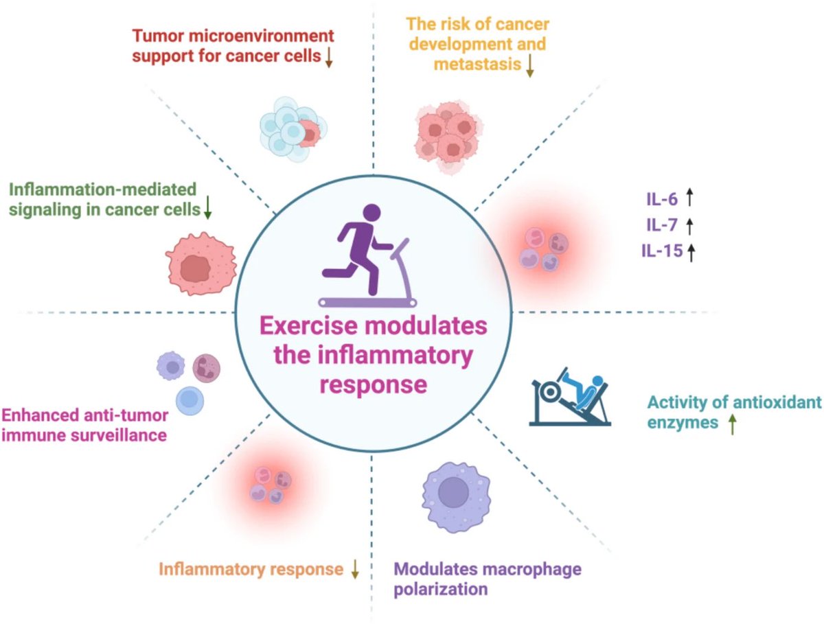 ChristophBurch's tweet photo. Exercise therapy: an effective approach to mitigate the risk of cancer metastasis
https://t.co/VB7DpY3Tqo https://t.co/yRbnCWNgUG