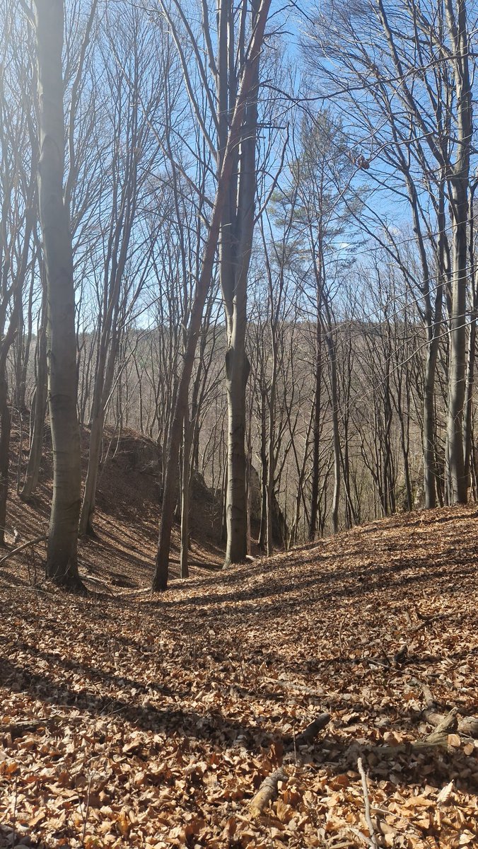 soap❗️ tweet media