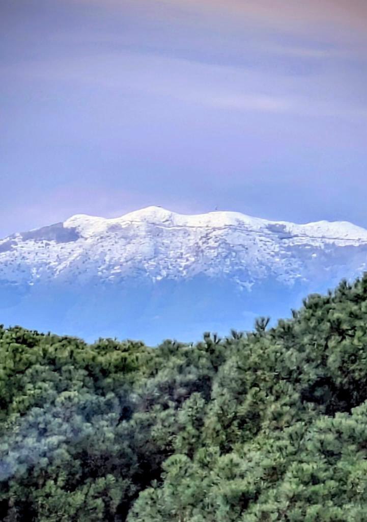Àlex Van der Laan tweet media