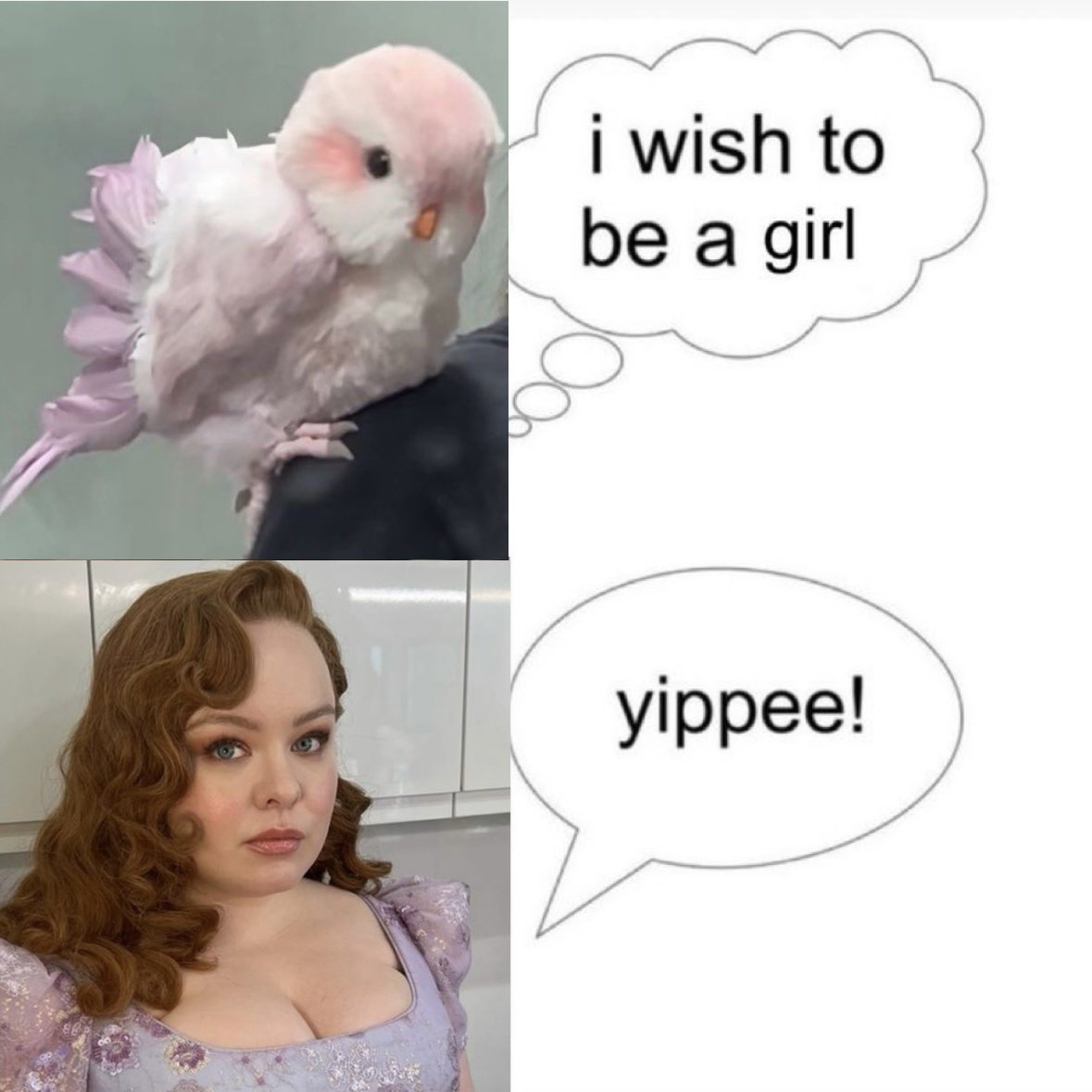 gingeerdoll's tweet photo. my contribution to the society https://t.co/rRctLUnsAb