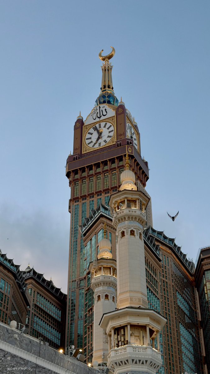 نـوف العنزي tweet media