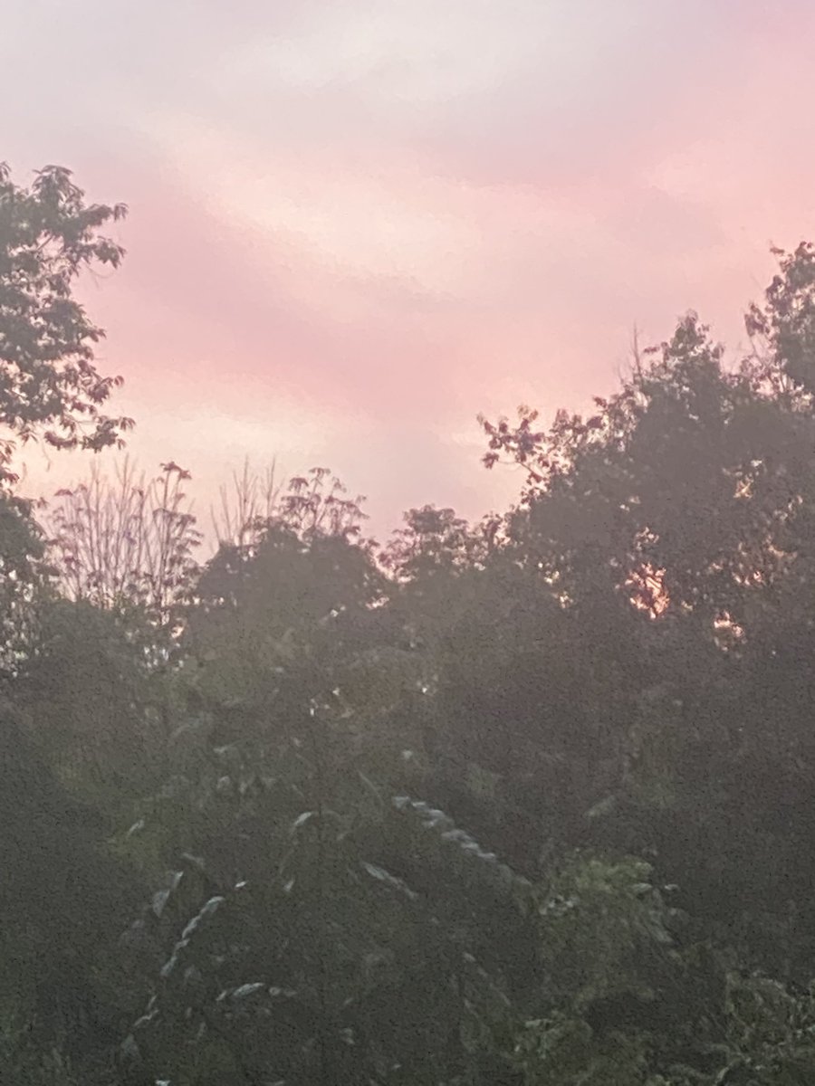 Infinite tweet media