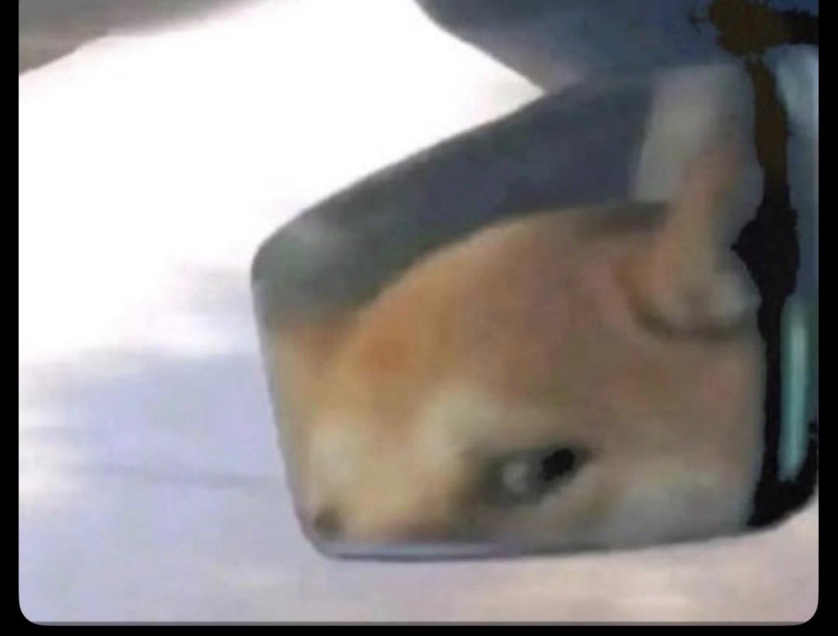 mister00 tweet media