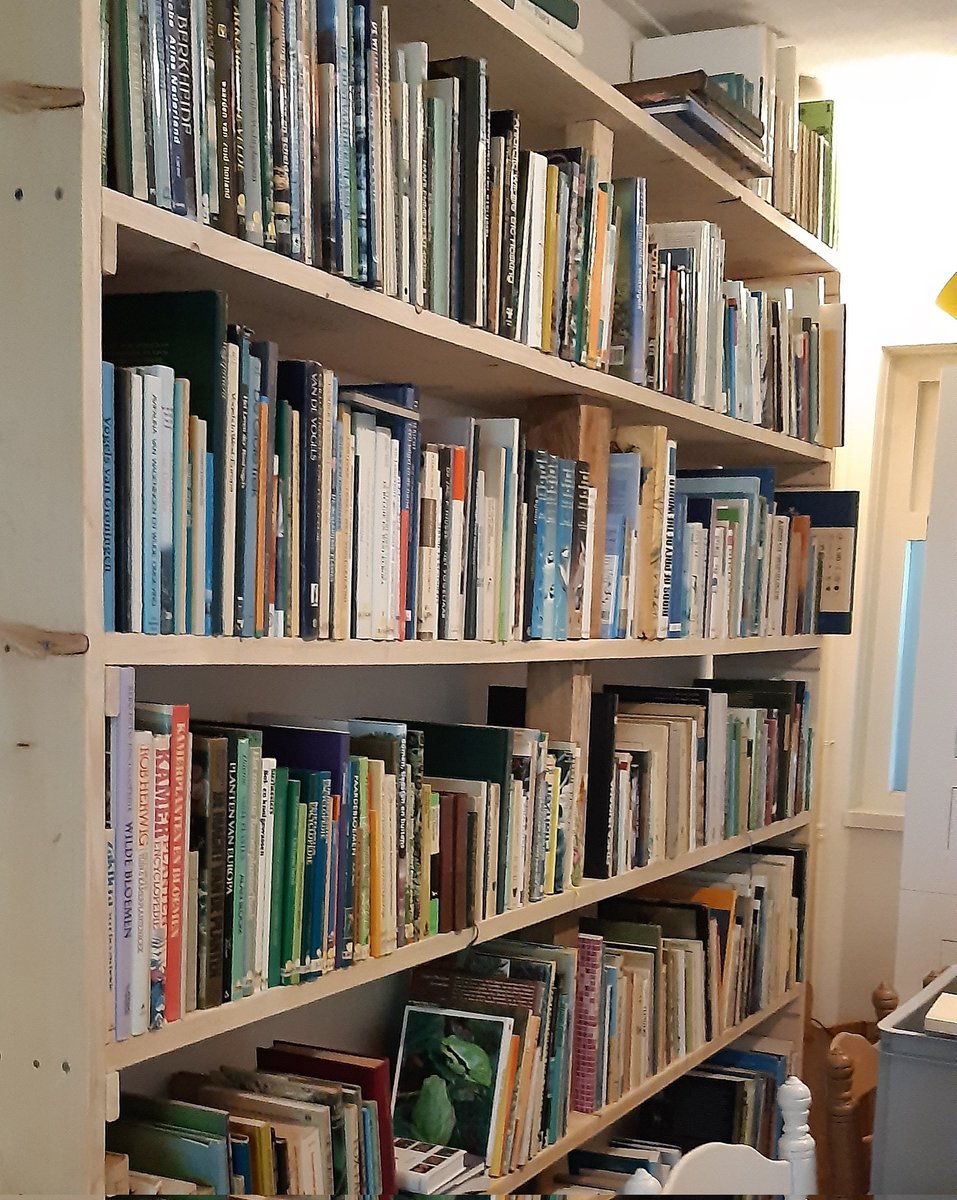 Mrs. Disbelief tweet media