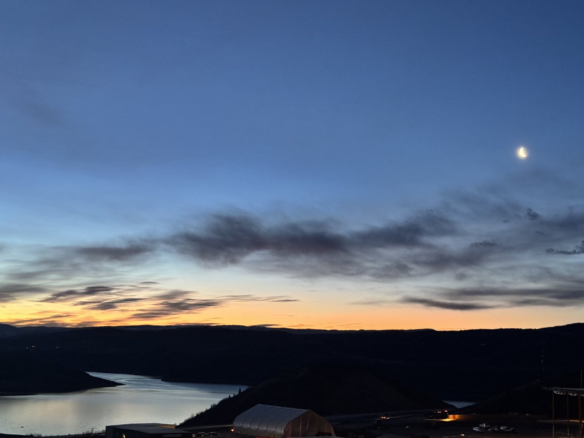 Stephen V Liu, MD tweet media