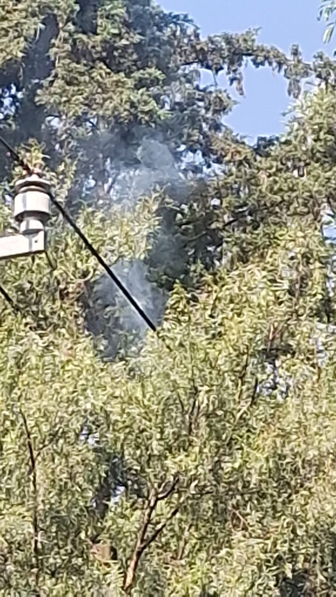 Colonia Periodista tweet media