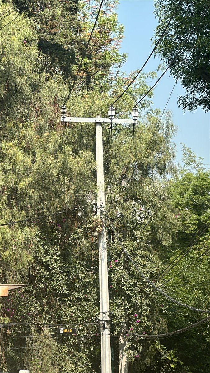 Colonia Periodista tweet media