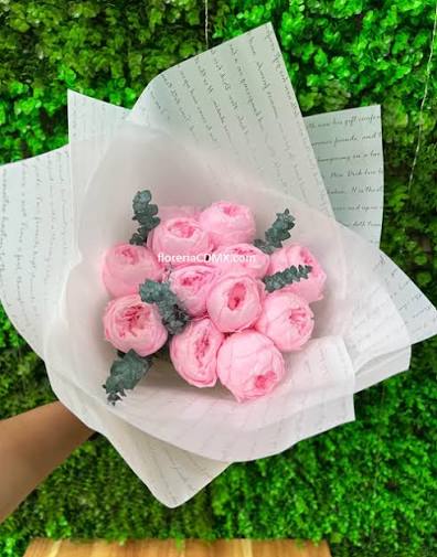 Luis Pinot tweet media