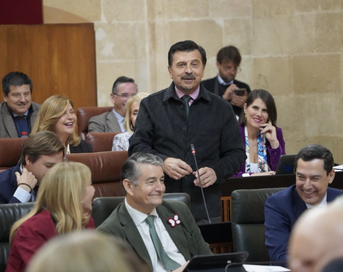 Toni Martín tweet media