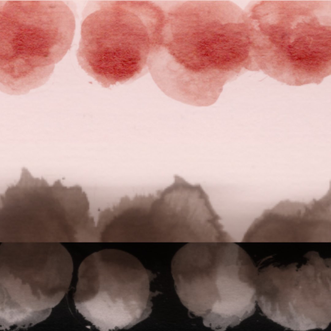 Diatribe Records tweet media