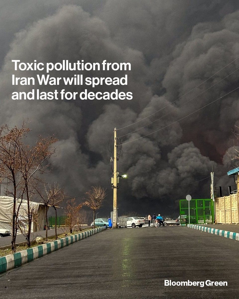 Tangwa Abilu.🌿🌏🌾🍀🍃.SDG's. tweet media