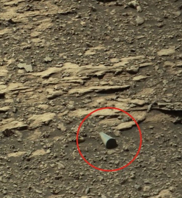 Concerned Citizen tweet media